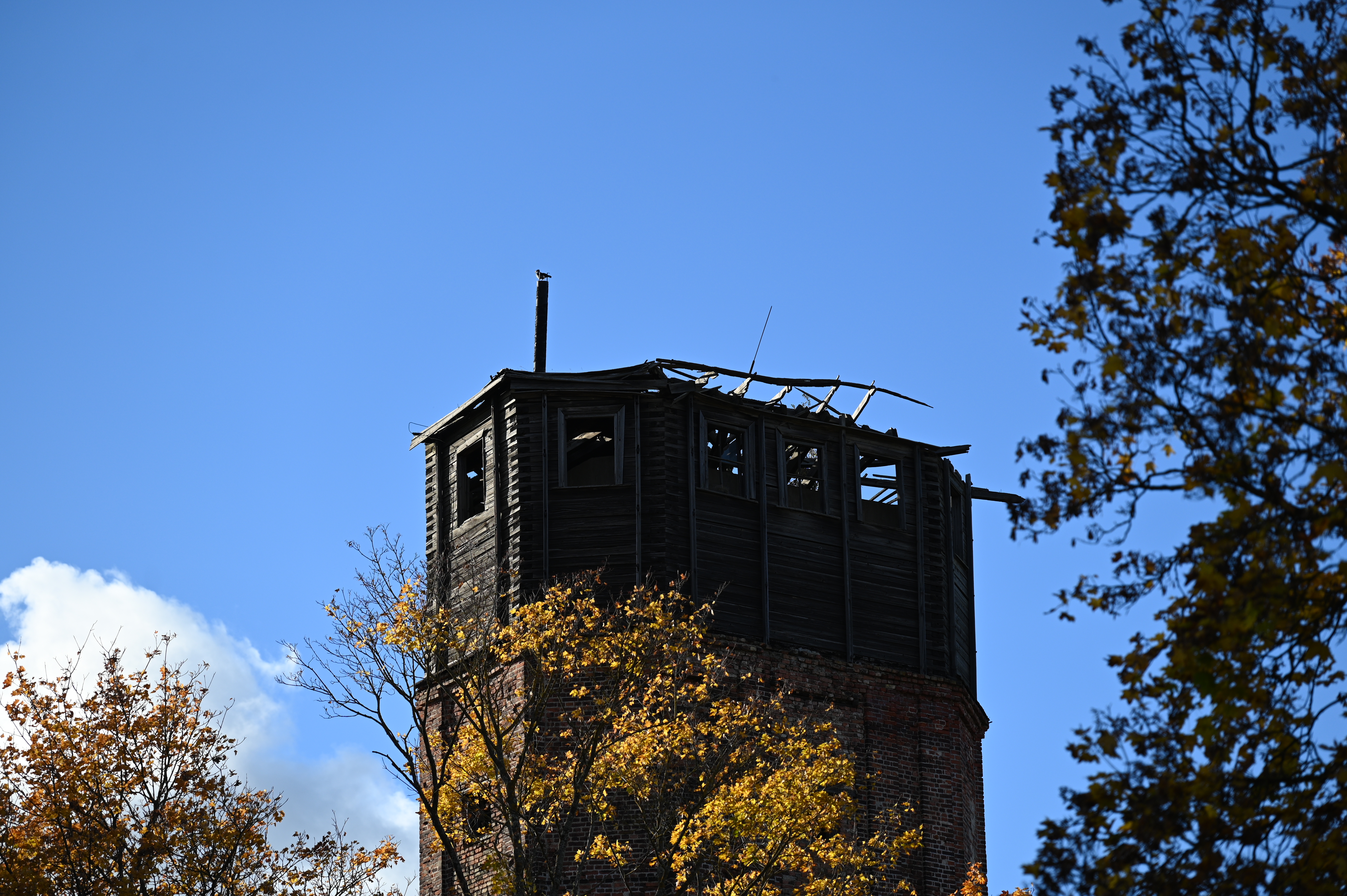 2025/10/18 - walk/DSC_0115.JPG